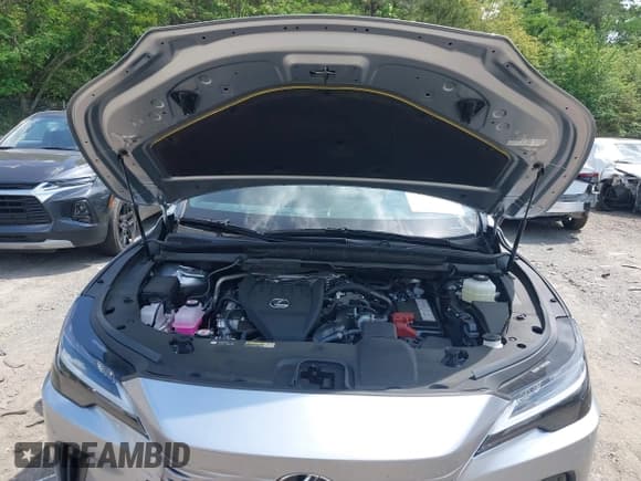 ✅ 2024 Lexus RX 350 • VIN: JTJCHMAAXR2020243 • Lot: 42163373. Listed on IAAI with 6,970 mi. Free auction sales archive from the USA and detailed vehicle history report at DreamBid. Image 10.