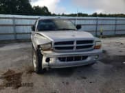 ✅ 2000 Dodge Durango • VIN: 1B4HS28N3YF101693 • Lot: 62966245. Wystawiony na Copart z przebiegiem 146 453 mil. Bezpłatny archiwum sprzedaży aukcyjnych z USA i szczegółowy raport historii pojazdu na DreamBid. Zdjęcie 14.