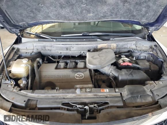 ✅ 2009 Mazda CX-9 Grand Touring • VIN: JM3TB28V690178017 • Lot: 62785305. Wystawiony na Copart z przebiegiem 120 790 mil. Bezpłatny archiwum sprzedaży aukcyjnych z USA i szczegółowy raport historii pojazdu na DreamBid. Zdjęcie 12.