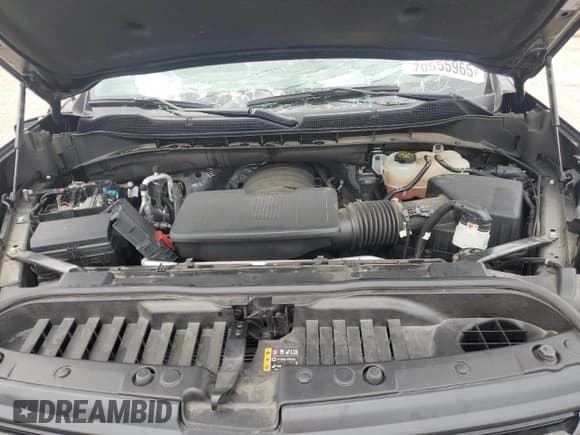 ✅ 2022 Chevrolet Silverado 1500 LT Trail Boss • VIN: 3GCUDFED9NG674395 • Lot: 70555965. Listed on Copart with Not provided. Free auction sales archive from the USA and detailed vehicle history report at DreamBid. Image 11.