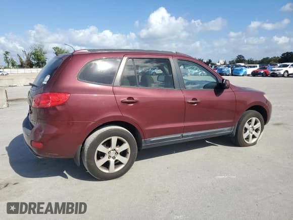 ✅ 2008 Hyundai Santa Fe SE • VIN: 5NMSH13E58H201466 • Lot: 80006684. Listed on Copart with 309,321 mi. Free auction sales archive from the USA and detailed vehicle history report at DreamBid. Image 3.