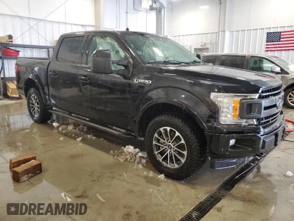 ✅ 2019 Ford F-150 XL • VIN: 1FTEW1E58KKC33078 • Lot: 44142775. Listed on Copart with 131,344 mi. Free auction sales archive from the USA and detailed vehicle history report at DreamBid. Image 4.
