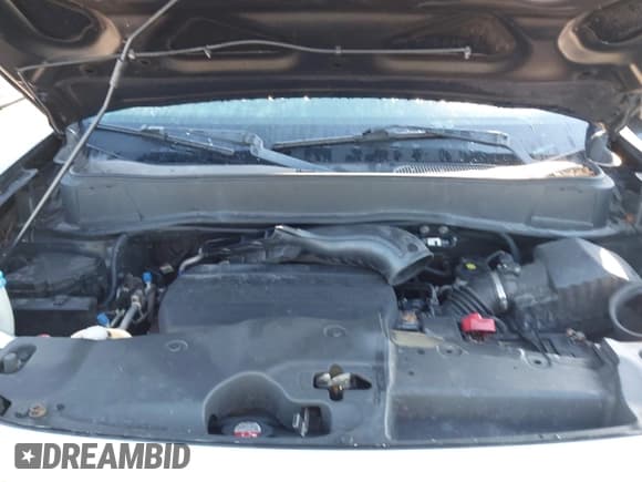 ✅ 2013 Honda Pilot EX-L • VIN: 5FNYF3H66DB017923 • Lot: 41677898. Listed on IAAI with 219,037 mi. Free auction sales archive from the USA and detailed vehicle history report at DreamBid. Image 10.