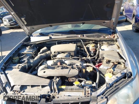 ✅ 2009 Subaru Outback Special Edition • VIN: 4S4BP61C097343083 • Lot: 43887477. Wystawiony na IAAI z przebiegiem 118 700 mil. Bezpłatny archiwum sprzedaży aukcyjnych z USA i szczegółowy raport historii pojazdu na DreamBid. Zdjęcie 6.