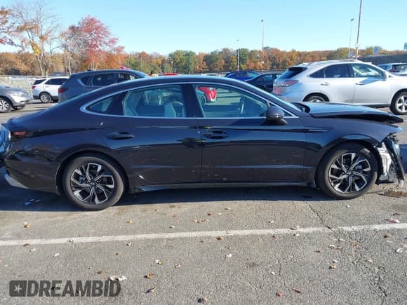 ✅ 2025 Hyundai Sonata SEL • VIN: KMHL64JA7SA434791 • Лот: 43521848. Опубликован ранее на IAAI с пробегом 10 429 миль. Бесплатный доступ к архиву аукционных продаж из США и подробный отчёт об истории автомобиля на DreamBid. Изображение 13.