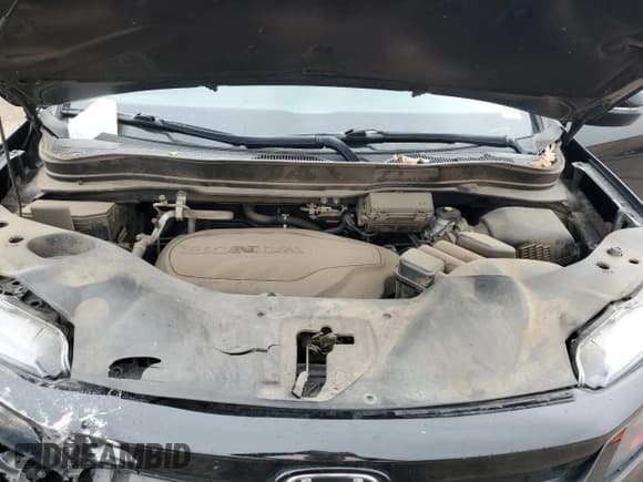 ✅ 2021 Honda Pilot Special Edition • VIN: 5FNYF6H2XMB094485 • Lot: 66917165. Wystawiony na Copart z przebiegiem 51 408 mil. Bezpłatny archiwum sprzedaży aukcyjnych z USA i szczegółowy raport historii pojazdu na DreamBid. Zdjęcie 12.