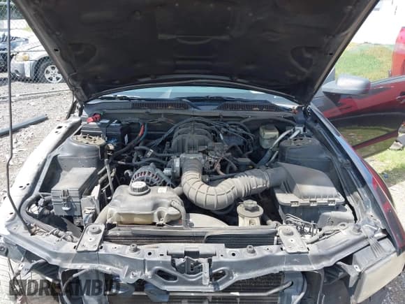 ✅ 2007 Ford Mustang Deluxe • VIN: 1ZVHT80N375243333 • Lot: 42685816. Wystawiony na IAAI z przebiegiem 199 311 mil. Bezpłatny archiwum sprzedaży aukcyjnych z USA i szczegółowy raport historii pojazdu na DreamBid. Zdjęcie 10.