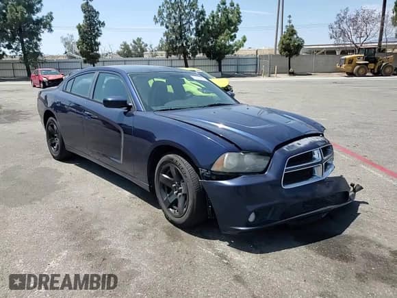 2014 Dodge Charger Police with VIN 2C3CDXAG6EH256477, listed as a Copart auction lot 70049455 with 145,317 mi miles and Salvage title. Bid and sale history available at DreamBid. Image 13.