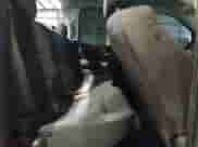 2019 Chevrolet Silverado 1500 LT with VIN 2GCVKPEC8K1165328, listed as a Copart auction lot 86112365 with 114,400 mi miles and Salvage title. Bid and sale history available at DreamBid. Image 10.