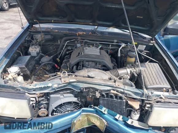 ✅ 1999 Isuzu Rodeo S • VIN: 4S2CK58W6X4332027 • Lot: 42087396. Listed on IAAI with 258,508 mi. Free auction sales archive from the USA and detailed vehicle history report at DreamBid. Image 10.