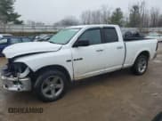 ✅ 2010 Dodge 1500 SLT • VIN: 1D7RV1GT4AS146234 • Lot: 83527274. Wystawiony na Copart z przebiegiem Nie podano. Bezpłatny archiwum sprzedaży aukcyjnych z USA i szczegółowy raport historii pojazdu na DreamBid. Zdjęcie 1.