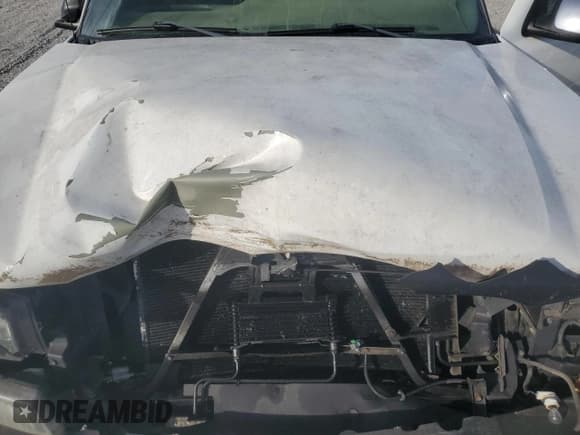 ✅ 2003 Chevrolet Silverado 1500 LT • VIN: 2GCEC19T231279945 • Lot: 89484065. Listed on Copart with 279,439 mi. Free auction sales archive from the USA and detailed vehicle history report at DreamBid. Image 11.