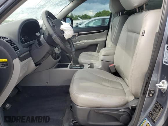 ✅ 2009 Hyundai Santa Fe SE • VIN: 5NMSH13E69H249429 • Lot: 80349615. Listed on Copart with 71,033 mi. Free auction sales archive from the USA and detailed vehicle history report at DreamBid. Image 7.