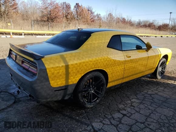 ✅ 2017 Dodge Challenger R/T • VIN: 2C3CDZBT3HH567988 • Лот: 84300615. Опубликован ранее на Copart с пробегом Не указан. Бесплатный доступ к архиву аукционных продаж из США и подробный отчёт об истории автомобиля на DreamBid. Изображение 3.