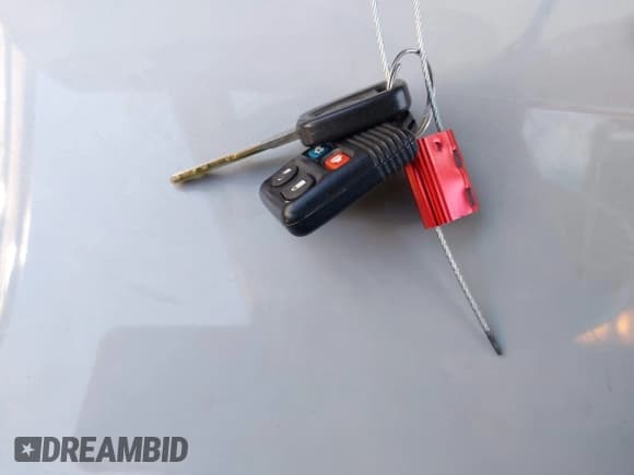 ✅ 2002 Lincoln LS w/Base Pkg • VIN: 1LNHM86S02Y704603 • Lot: 43575664. Listed on IAAI with 193,357 mi. Free auction sales archive from the USA and detailed vehicle history report at DreamBid. Image 11.