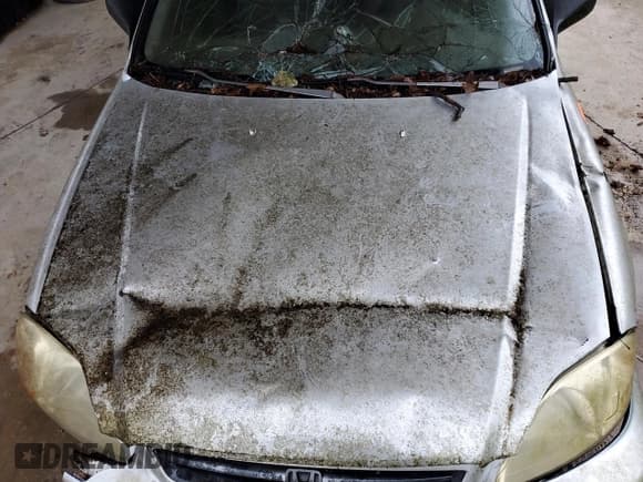 ✅ 1996 Honda Civic LX • VIN: 1HGEJ6605TL006796 • Lot: 44628765. Wystawiony na Copart z przebiegiem Nie podano. Bezpłatny archiwum sprzedaży aukcyjnych z USA i szczegółowy raport historii pojazdu na DreamBid. Zdjęcie 11.