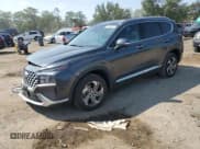 ✅ 2023 Hyundai Santa Fe SEL • VIN: 5NMS3DAJ4PH606054 • Lot: 81433425. Wystawiony na Copart z przebiegiem 46 944 mil. Bezpłatny archiwum sprzedaży aukcyjnych z USA i szczegółowy raport historii pojazdu na DreamBid. Zdjęcie 1.