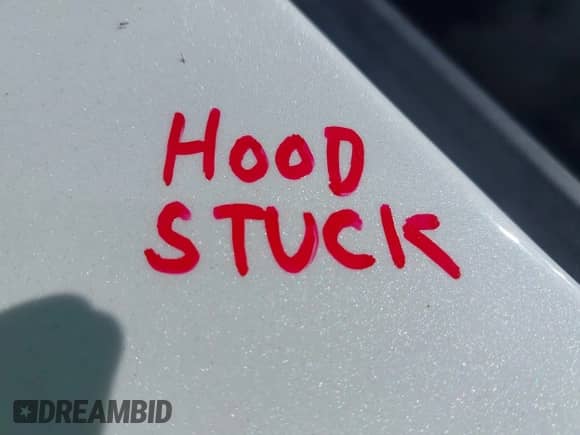 2017 Hyundai Elantra SE with VIN 5NPD74LF9HH205870, listed as a IAAI auction lot 43170328 with 175,285 mi miles and . Bid and sale history available at DreamBid. Image 10.