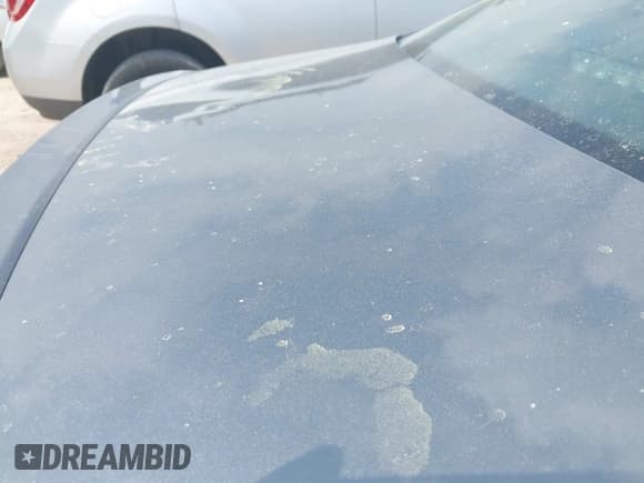 ✅ 2014 Volkswagen Passat SE • VIN: 1VWBS7A38EC036834 • Lot: 42364596. Wystawiony na IAAI z przebiegiem 117 858 mil. Bezpłatny archiwum sprzedaży aukcyjnych z USA i szczegółowy raport historii pojazdu na DreamBid. Zdjęcie 12.