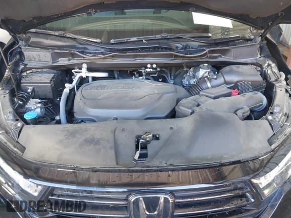 ✅ 2024 Honda Odyssey Sport • VIN: 5FNRL6H73RB041028 • Lot: 43687068. Listed on IAAI with 25,324 mi. Free auction sales archive from the USA and detailed vehicle history report at DreamBid. Image 10.