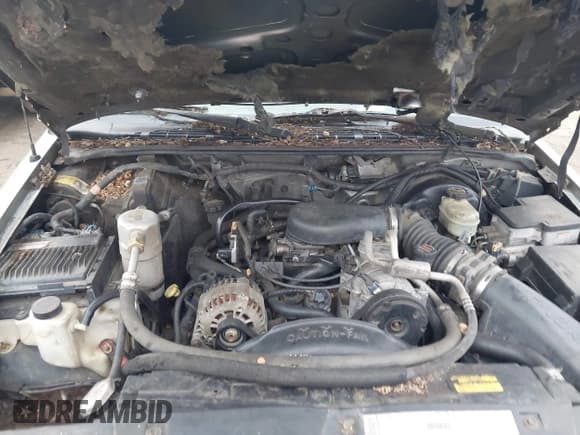 ✅ 2000 Chevrolet Blazer LT • VIN: 1GNDT13WXY2214421 • Lot: 41525220. Wystawiony na IAAI z przebiegiem Nie podano. Bezpłatny archiwum sprzedaży aukcyjnych z USA i szczegółowy raport historii pojazdu na DreamBid. Zdjęcie 10.