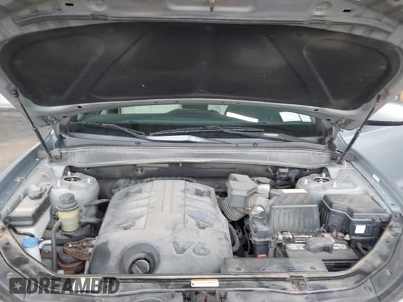 ✅ 2008 Hyundai Santa Fe SE • VIN: 5NMSH73E78H207191 • Lot: 43381109. Wystawiony na IAAI z przebiegiem 143 510 mil. Bezpłatny archiwum sprzedaży aukcyjnych z USA i szczegółowy raport historii pojazdu na DreamBid. Zdjęcie 10.