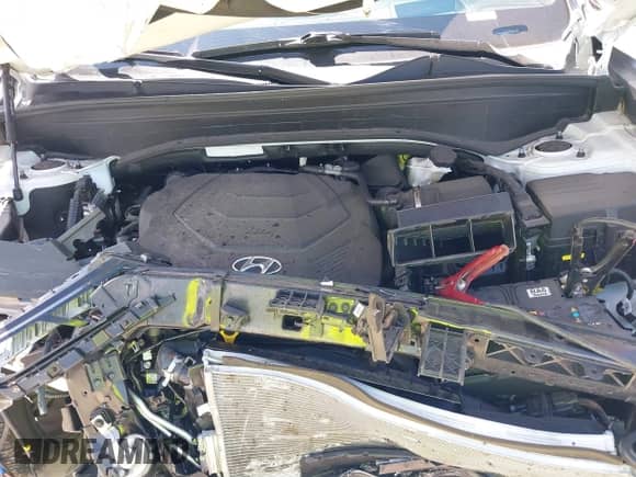 2024 Hyundai Palisade Calligraphy с VIN KM8R7DGE8RU771822, выставлен на аукционе IAAI как лот 43346120 с пробегом 23 936 миль миль и . История ставок и продаж доступна на DreamBid. Изображение 10.