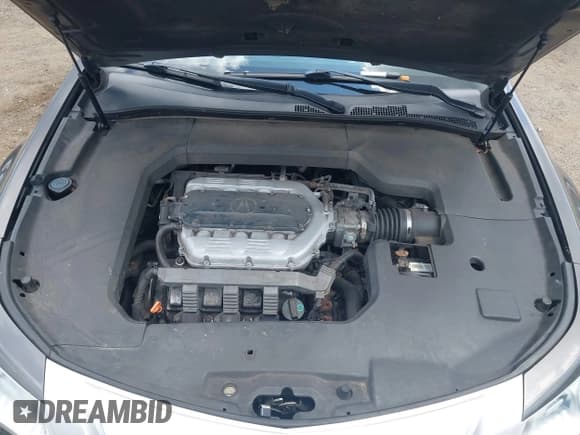 ✅ 2009 Acura TL Technology • VIN: 19UUA96519A000698 • Lot: 42806964. Wystawiony na IAAI z przebiegiem 215 432 mil. Bezpłatny archiwum sprzedaży aukcyjnych z USA i szczegółowy raport historii pojazdu na DreamBid. Zdjęcie 10.