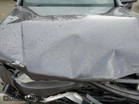 ✅ 2007 Pontiac Torrent • VIN: 2CKDL63F176037127 • Lot: 66505865. Wystawiony na Copart z przebiegiem 201 079 mil. Bezpłatny archiwum sprzedaży aukcyjnych z USA i szczegółowy raport historii pojazdu na DreamBid. Zdjęcie 12.