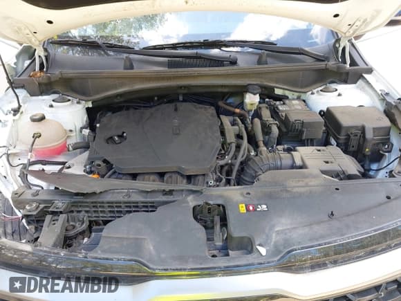 ✅ 2023 Kia Sportage X-Line • VIN: 5XYK6CAF3PG096691 • Lot: 43116843. Wystawiony na IAAI z przebiegiem 48 992 mil. Bezpłatny archiwum sprzedaży aukcyjnych z USA i szczegółowy raport historii pojazdu na DreamBid. Zdjęcie 10.