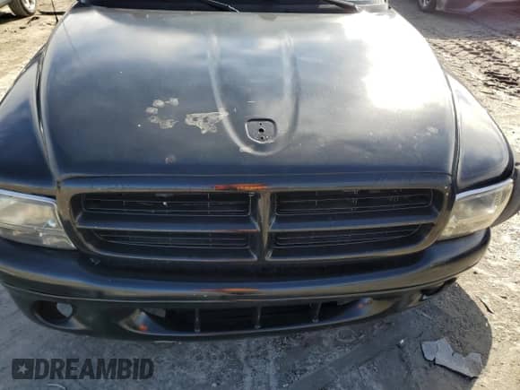 1998 Dodge Dakota SLT z VIN 1B7GL22Y1WS623757, wystawiony jako Copart lot #41874295 z przebiegiem Nie podano mil oraz Szkoda całkowita • Salvage title. Historia ofert i sprzedaży dostępna na DreamBid. Obrazek 11.