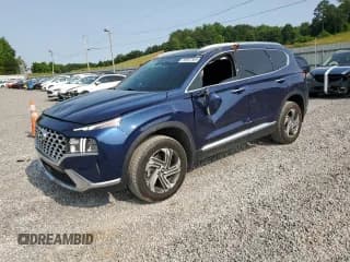 ✅ 2023 Hyundai Santa Fe SEL • VIN: 5NMS3DAJ8PH506541 • Lot: 59097565. Wystawiony na Copart z przebiegiem 51 198 mil. Bezpłatny archiwum sprzedaży aukcyjnych z USA i szczegółowy raport historii pojazdu na DreamBid. Zdjęcie 1.