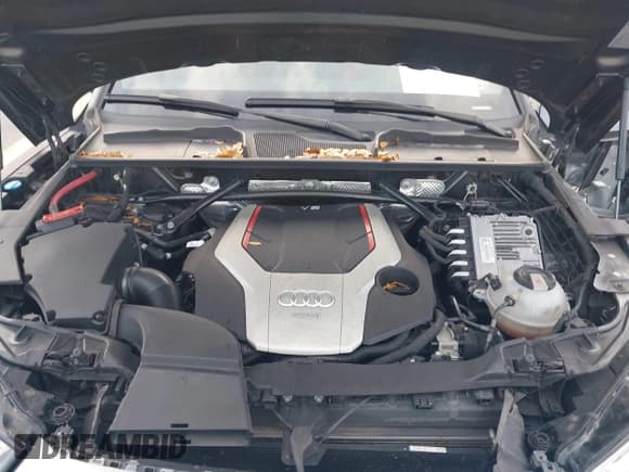 ✅ 2018 Audi SQ5 Premium Plus • VIN: WA1A4AFY4J2098770 • Lot: 42482457. Listed on IAAI with 114,377 mi. Free auction sales archive from the USA and detailed vehicle history report at DreamBid. Image 10.