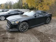 ✅ 2016 Ford Mustang EcoBoost Premium • VIN: 1FA6P8TH2G5300678 • Лот: 91689485. Опубликован ранее на Copart с пробегом 158 197 миль. Бесплатный доступ к архиву аукционных продаж из США и подробный отчёт об истории автомобиля на DreamBid. Изображение 1.