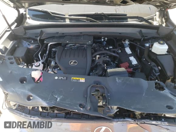 ✅ 2024 Lexus TX 350 • VIN: 5TDAAAA65RS008714 • Lot: 87905515. Listed on Copart with 5,384 mi. Free auction sales archive from the USA and detailed vehicle history report at DreamBid. Image 13.