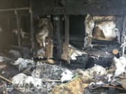 ✅ 2017 Ram ProMaster Cargo • VIN: 3C6URVJG2HE543506 • Lot: 62124005. Wystawiony na Copart z przebiegiem Nie podano. Bezpłatny archiwum sprzedaży aukcyjnych z USA i szczegółowy raport historii pojazdu na DreamBid. Zdjęcie 11.