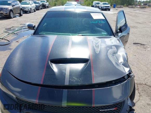✅ 2019 Dodge Charger R/T • VIN: 2C3CDXCTXKH737113 • Lot: 43438449. Listed on IAAI with 111,270 mi. Free auction sales archive from the USA and detailed vehicle history report at DreamBid. Image 10.