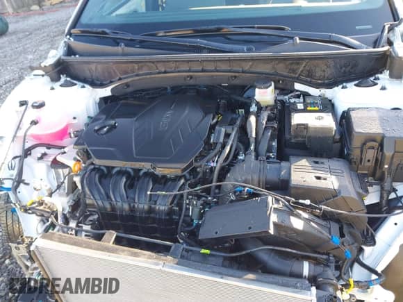 2024 Hyundai Santa Cruz SEL с VIN 5NTJCDAE4RH094978, выставлен на аукционе IAAI как лот 41488698 с пробегом 5 889 миль миль и . История ставок и продаж доступна на DreamBid. Изображение 10.