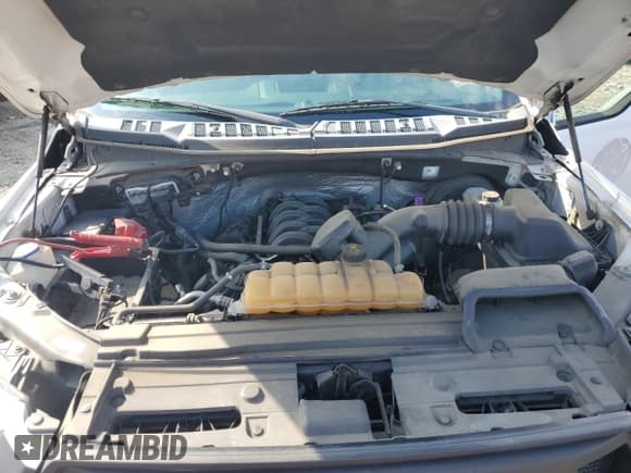 ✅ 2016 Ford F-150 XL • VIN: 1FTMF1CFXGKF56532 • Lot: 69065275. Wystawiony na Copart z przebiegiem 69 900 mil. Bezpłatny archiwum sprzedaży aukcyjnych z USA i szczegółowy raport historii pojazdu na DreamBid. Zdjęcie 11.