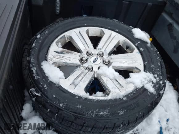 ✅ 2019 Ford F-150 XL • VIN: 1FTEW1EP7KFA55917 • Lot: 43660057. Wystawiony na IAAI z przebiegiem 119 837 mil. Bezpłatny archiwum sprzedaży aukcyjnych z USA i szczegółowy raport historii pojazdu na DreamBid. Zdjęcie 12.