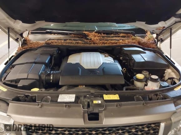 ✅ 2007 Land Rover Range Rover Sport SC • VIN: SALSH23417A990424 • Lot: 43647063. Listed on IAAI with 220,795 mi. Free auction sales archive from the USA and detailed vehicle history report at DreamBid. Image 10.