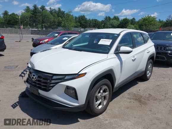 2024 Hyundai Tucson SE with VIN 5NMJACDEXRH301073, listed as a IAAI auction lot 42506949 with 22,875 mi miles and . Bid and sale history available at DreamBid. Image 2.