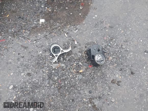 ✅ 2005 Nissan Maxima SL • VIN: 1N4BA41E25C800656 • Lot: 43662662. Listed on IAAI with 229,873 mi. Free auction sales archive from the USA and detailed vehicle history report at DreamBid. Image 12.