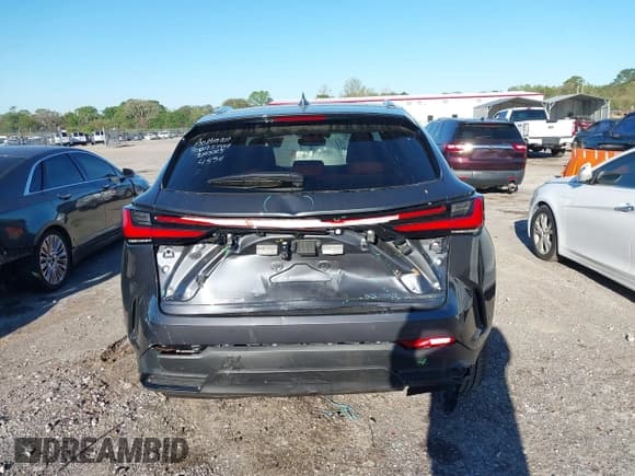 ✅ 2024 Lexus NX 250 Premium • VIN: JTJGDCAZXR5020805 • Lot: 41828608. Listed on IAAI with 10,769 mi. Free auction sales archive from the USA and detailed vehicle history report at DreamBid. Image 16.