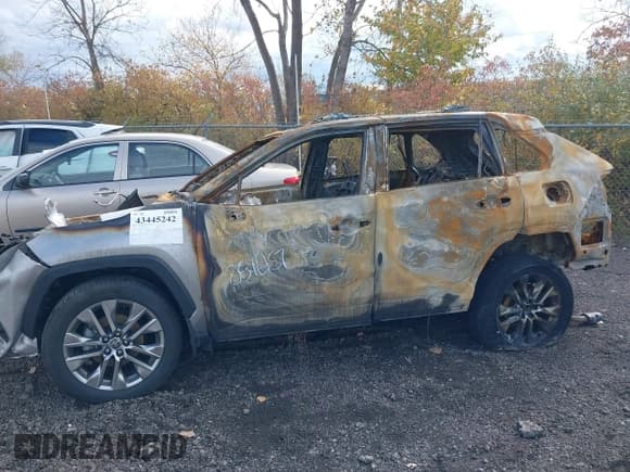 ✅ 2024 Toyota RAV4 XLE Premium • VIN: JTMA1RFV2RJ042850 • Lot: 43445242. Listed on IAAI with Not provided. Free auction sales archive from the USA and detailed vehicle history report at DreamBid. Image 6.