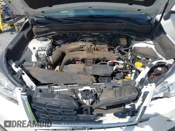 2017 Subaru Forester Limited with VIN JF2SJAJC1HH414553, listed as a IAAI auction lot 43289933 with 120,913 mi miles and . Bid and sale history available at DreamBid. Image 10.