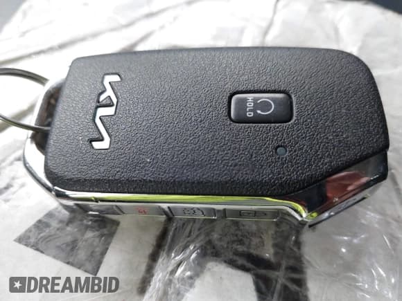 ✅ 2022 Kia Telluride EX • VIN: 5XYP34HC0NG250917 • Lot: 43729386. Listed on IAAI with 40,396 mi. Free auction sales archive from the USA and detailed vehicle history report at DreamBid. Image 11.