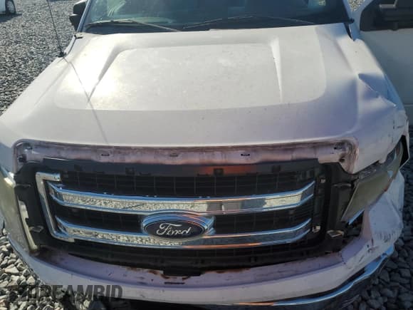 ✅ 2014 Ford F-150 XL • VIN: 1FTNF1CF8EKD47940 • Лот: 82479715. Опубликован ранее на Copart с пробегом 182 214 миль. Бесплатный доступ к архиву аукционных продаж из США и подробный отчёт об истории автомобиля на DreamBid. Изображение 11.