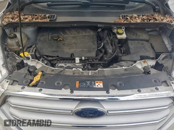 ✅ 2018 Ford Escape SE • VIN: 1FMCU9GD9JUD38307 • Лот: 93866345. Опубликован ранее на Copart с пробегом 66 289 миль. Бесплатный доступ к архиву аукционных продаж из США и подробный отчёт об истории автомобиля на DreamBid. Изображение 11.