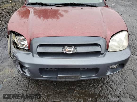 2005 Hyundai Santa Fe GLS с VIN KM8SC13D55U909223, выставлен на аукционе Copart как лот 81390854 с пробегом 160 806 миль миль и Списание • Salvage title. История ставок и продаж доступна на DreamBid. Изображение 13.